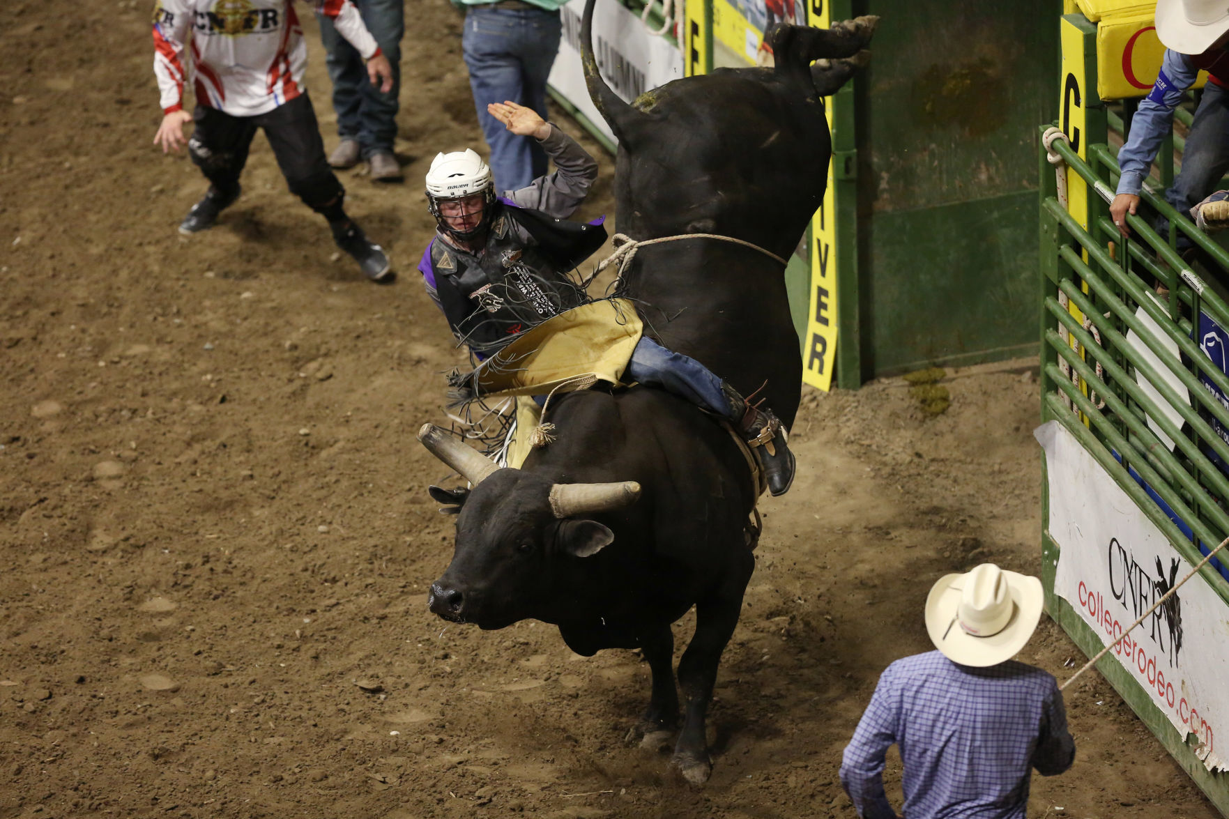CNFR